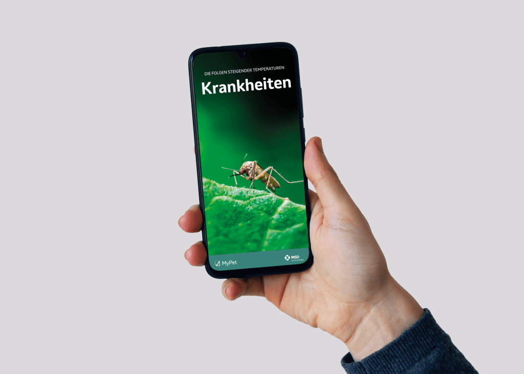 Hände halten ein Telefon