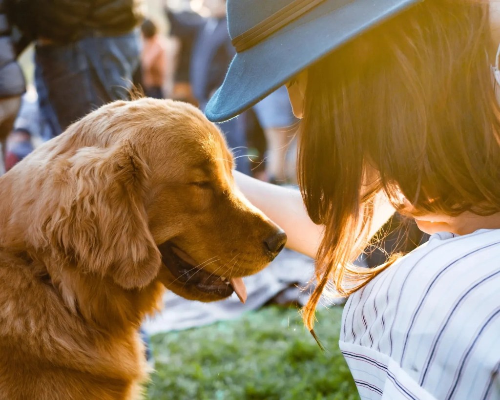 Hitzeerschöpfung beim Hund