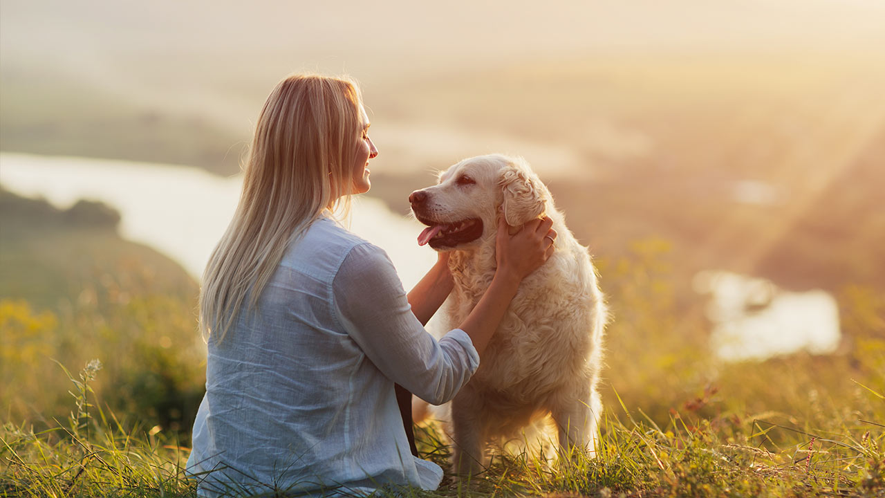 Tipps und Ideen für einen gesunden Lebensstil für Haustiere