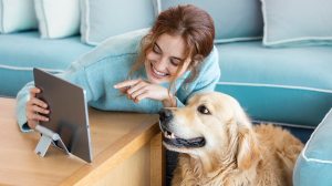 Flöhe beim Hund